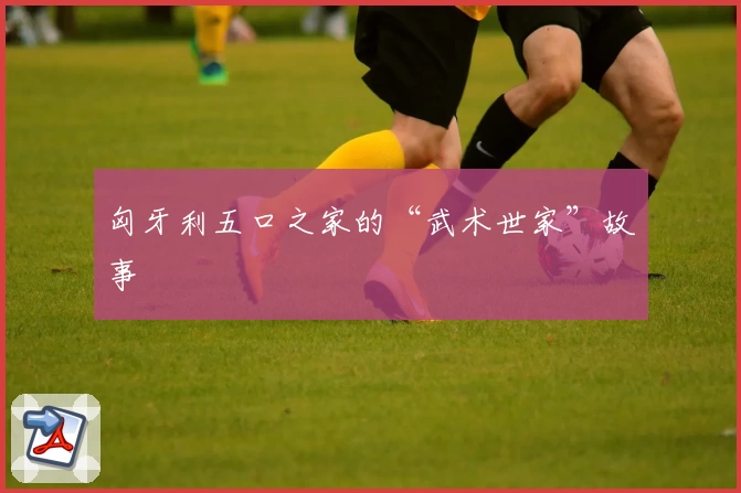 匈牙利五口之家的“武术世家”故事