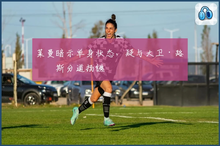 莱曼暗示单身状态，疑与大卫·路易斯分道扬镳
